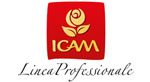 ICAM Logo